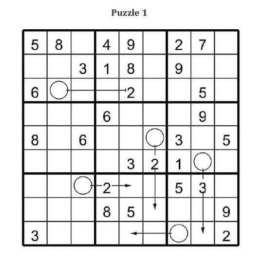 Arrow Sudoku Travel Journal | 50 Expert-Level Logic Puzzles for Advanced Solvers preview